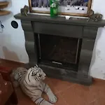 Bujtina Anesi