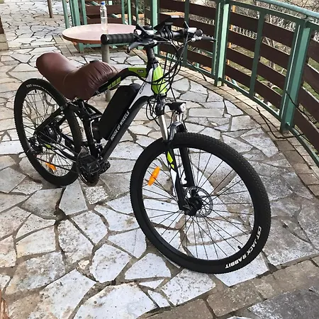 Bujtina Anesi