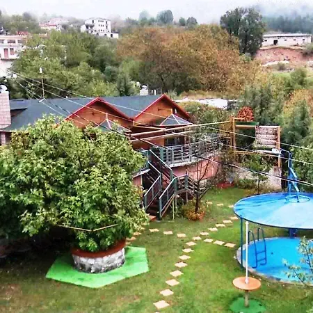 Bujtina Anesi *