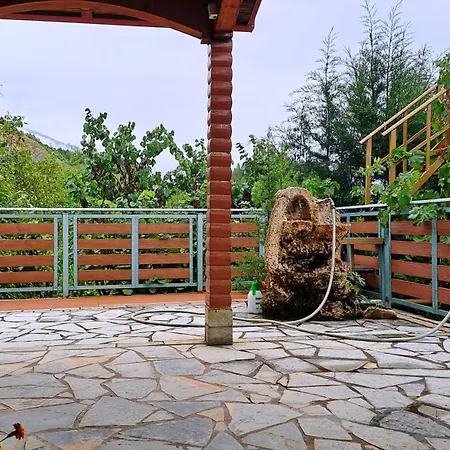 Bujtina Anesi