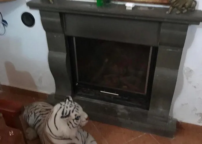 Bujtina Anesi